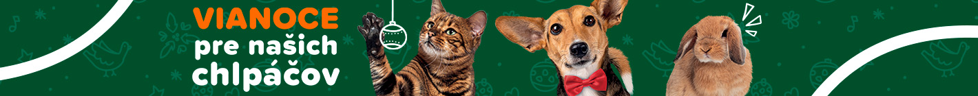Vianoce pre našich chlpáčov